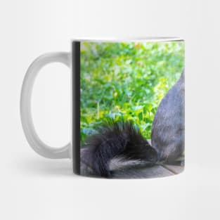 Squirrel is happy to find a basket of corn on the cob Mug